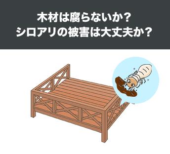 木材は腐らないか?シロアリの被害は大丈夫か?